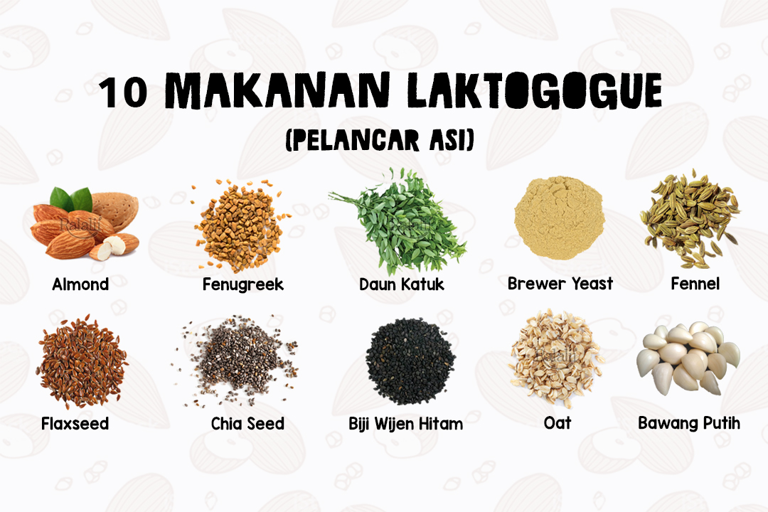 Makanan Dan Minuman Untuk Pelancar ASI Terbaik